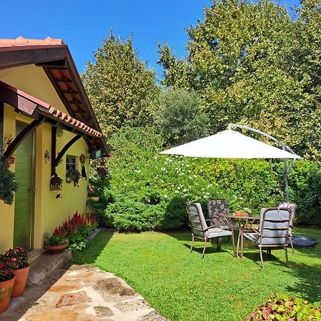 Quinta De Carcavelos Agroturismo E Enoturismo セロリコ・デ・バスト エクステリア 写真